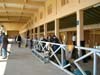 Brescia 2006-1 017